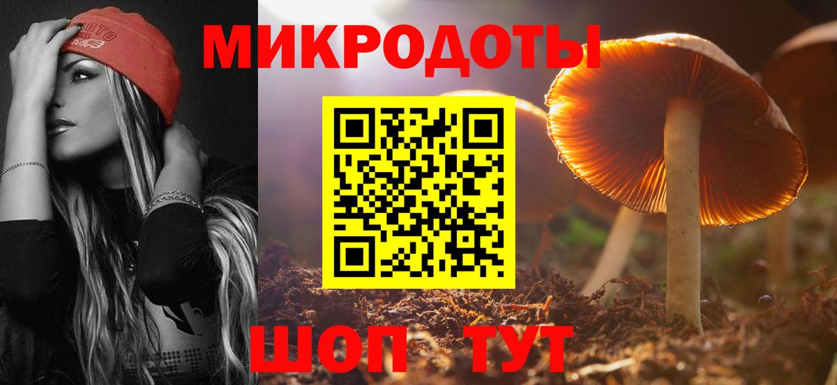 Псилоцибиновые грибы Cubensis Владивосток