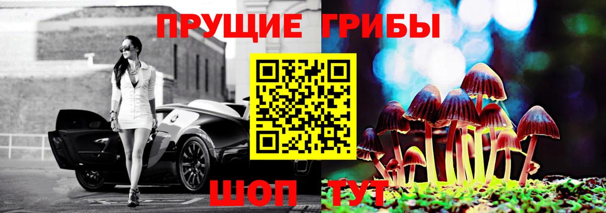 Псилоцибиновые грибы мицелий  даркнет сайт  Владивосток  Вход с VPN 
